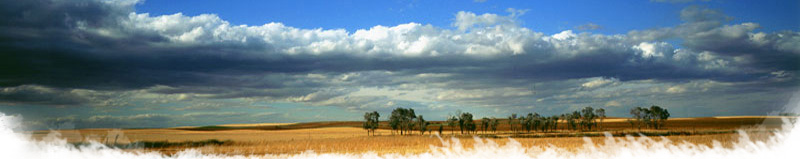 TIERRA DE CAMPOS TIERRA DE CAMPOS